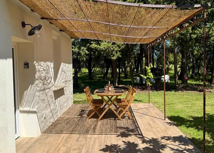 Maisonnette Avec Petite Foret